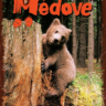Méďové – kolíbaná (Brum, brum, brum, o čem se zdá medvědům)
