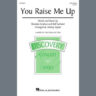 You Raise Me Up (arr. Audrey Snyder)